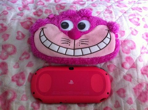 Psvita買いました 靴下猫とrii Psvita買いました 靴下猫とrii