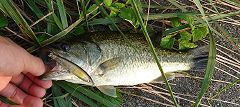 070825_08.jpg