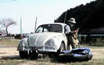 021011_beetle.jpg