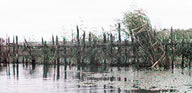 020914_view.jpg
