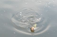070825_04.jpg