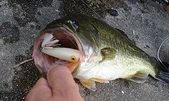 070825_06.jpg