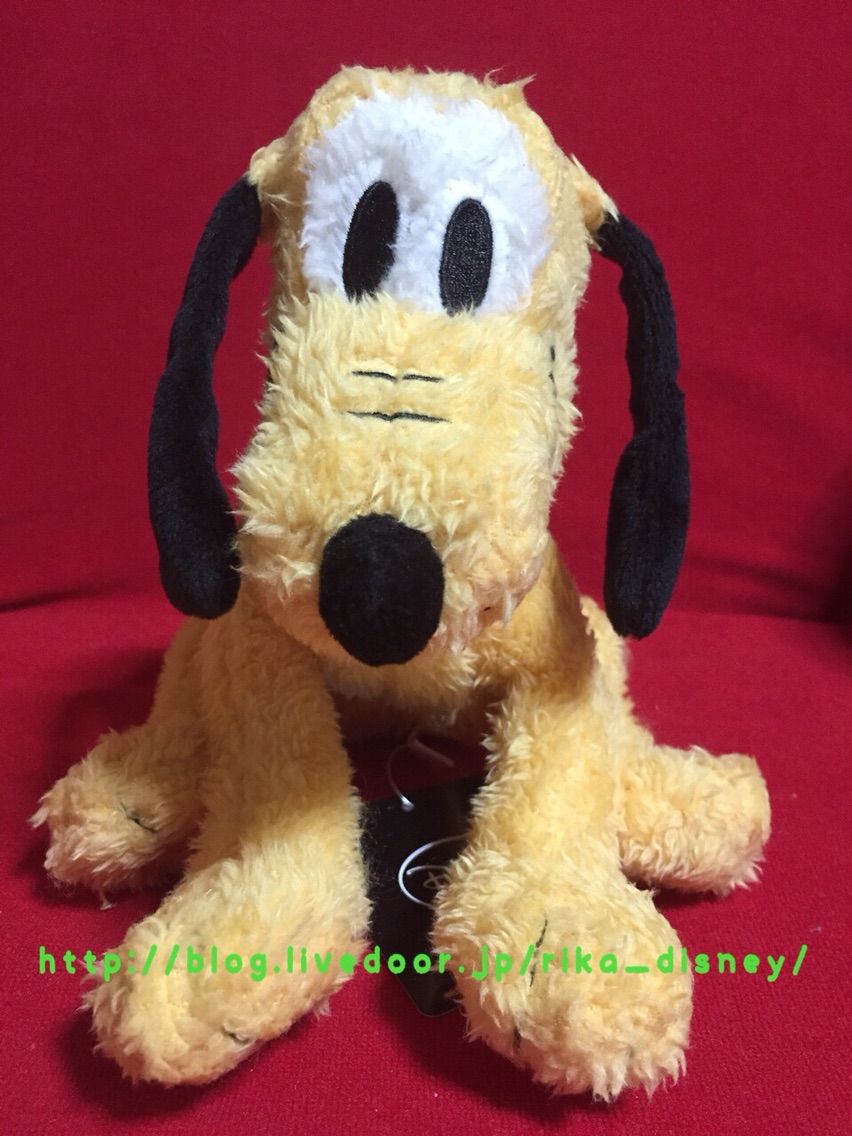 キディランドでプルートをお迎えしてきたよっ 栗鼠と犬と時々わたし キディランドでプルートをお迎えしてきたよっ 栗鼠と犬と時々わたし
