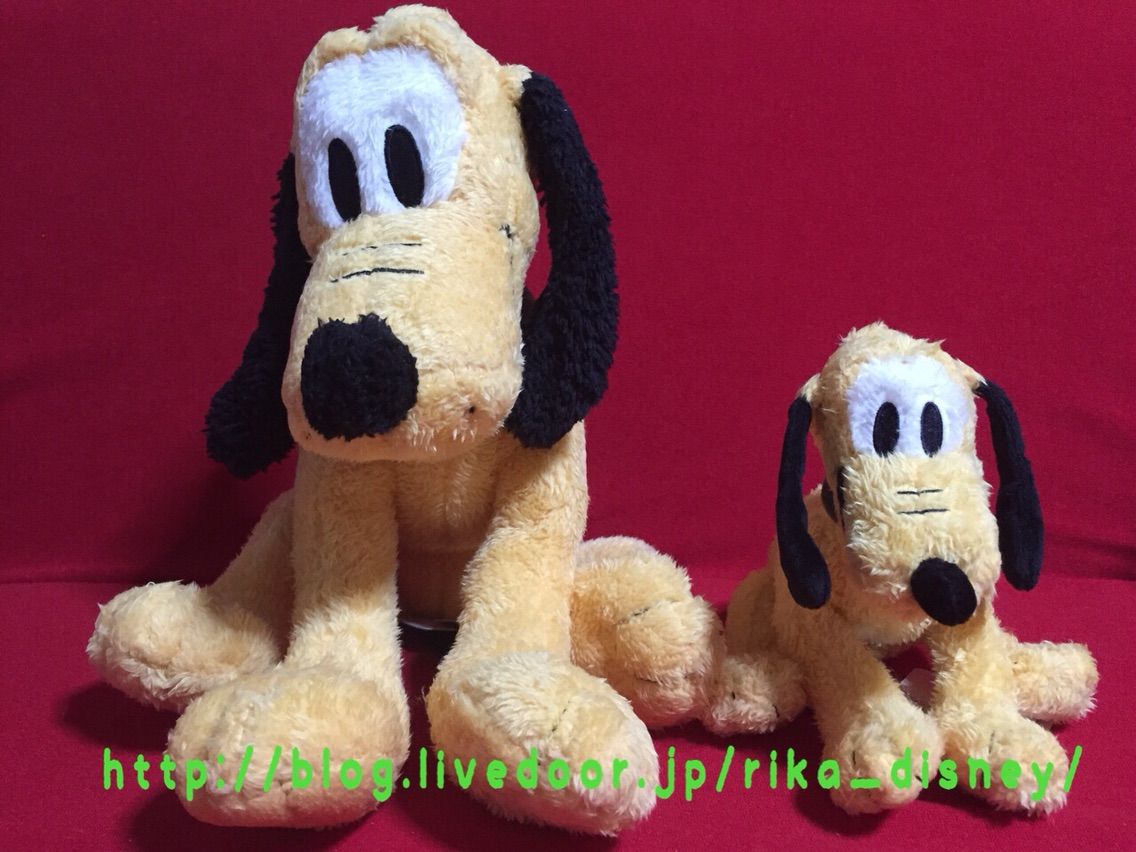 キディランドでプルートをお迎えしてきたよっ 栗鼠と犬と時々わたし キディランドでプルートをお迎えしてきたよっ 栗鼠と犬と時々わたし