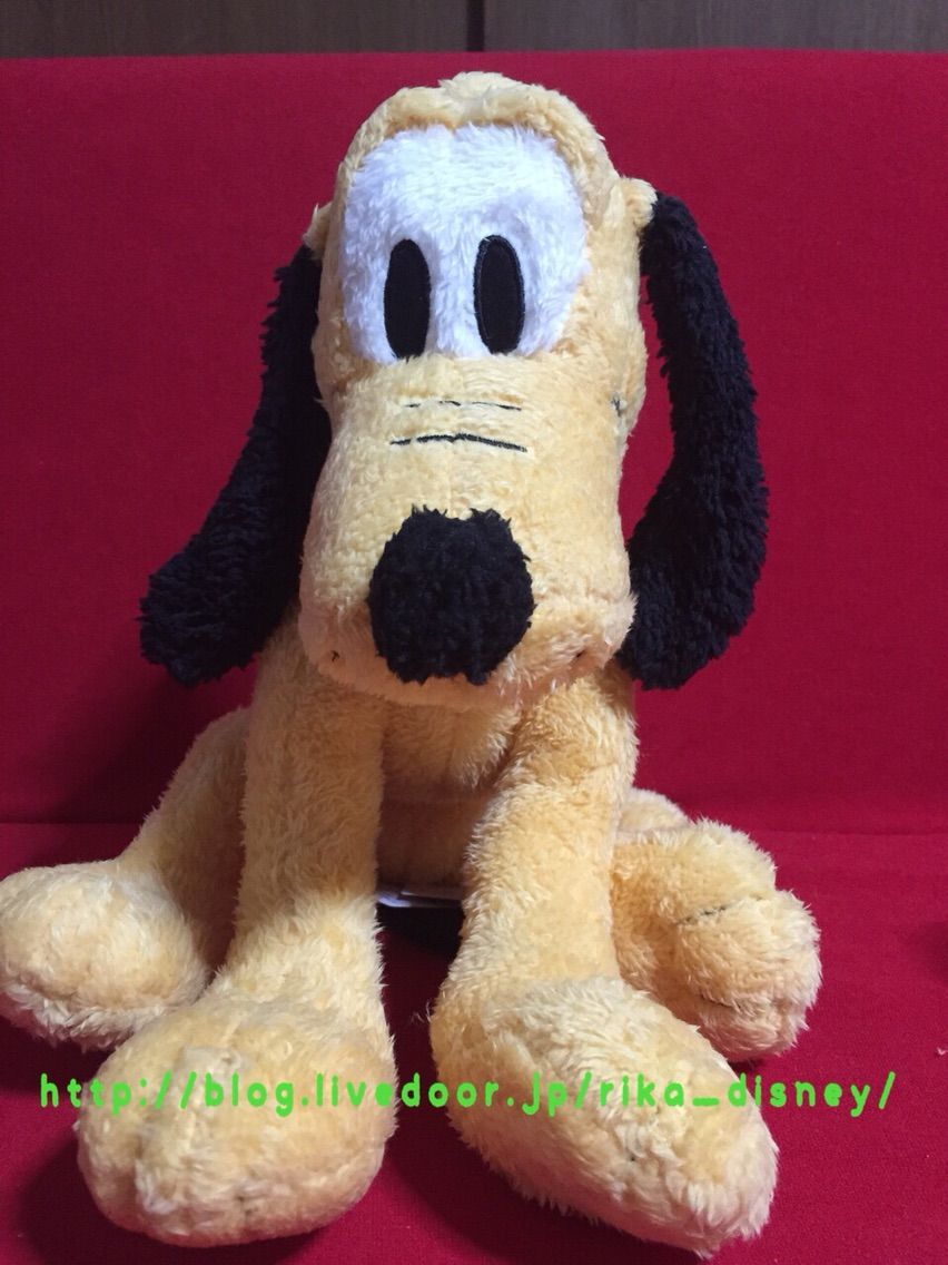 キディランドでプルートをお迎えしてきたよっ 栗鼠と犬と時々わたし キディランドでプルートをお迎えしてきたよっ 栗鼠と犬と時々わたし
