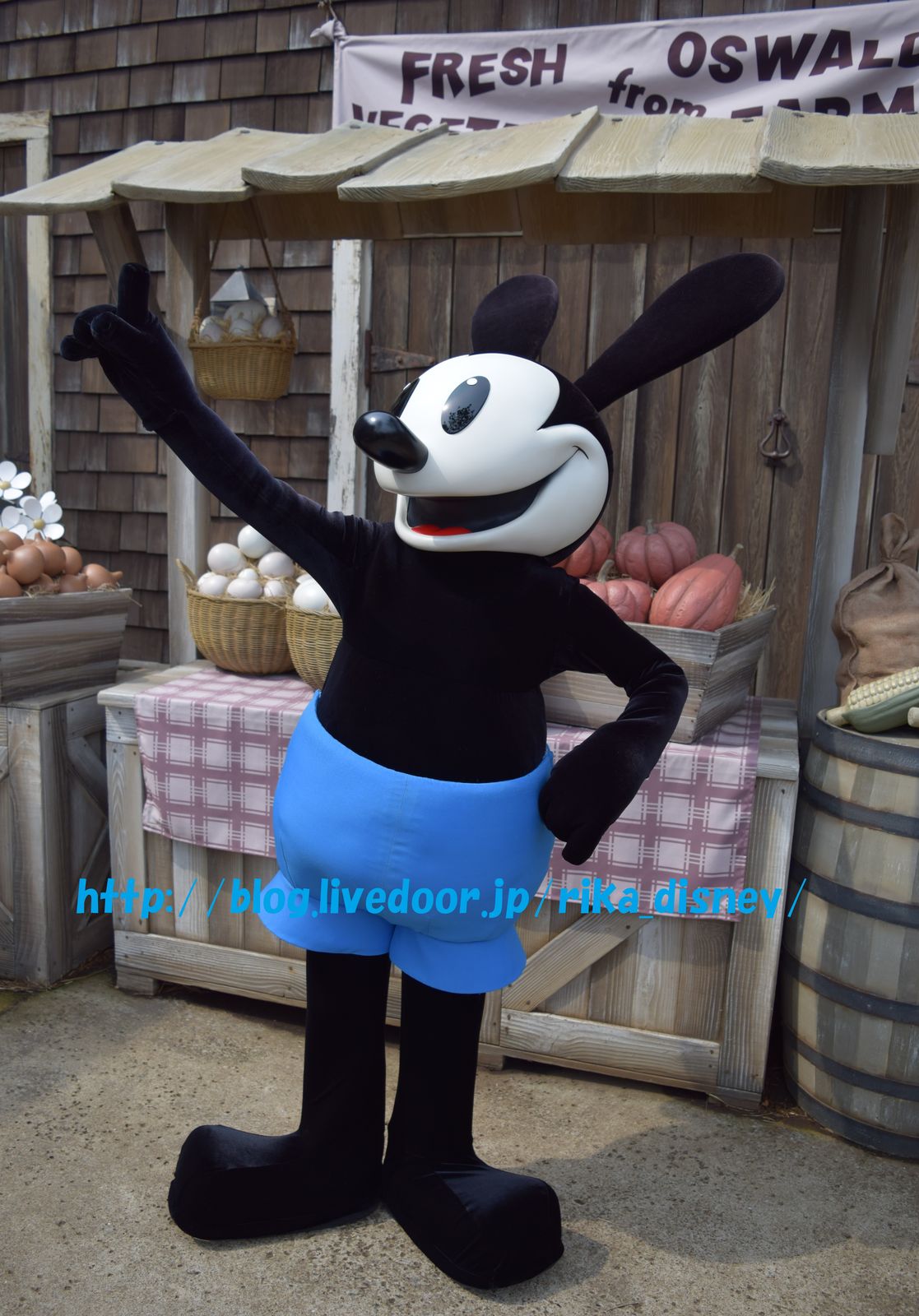 オズワルドとの最後のグリーティングをしてきました つd 栗鼠と犬と時々わたし