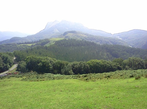 campo2
