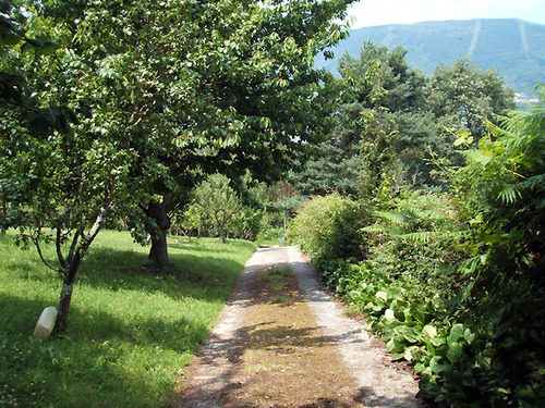 camino