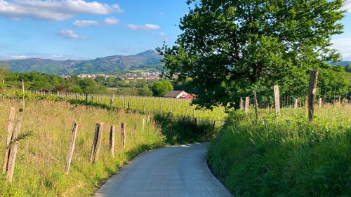 DJI_20210502_191112_346