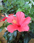 8f0d795d.JPG