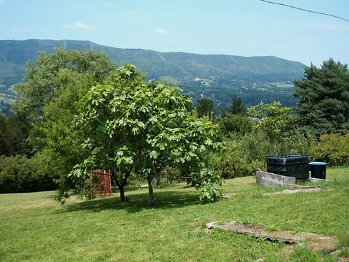 Dscf5204-p