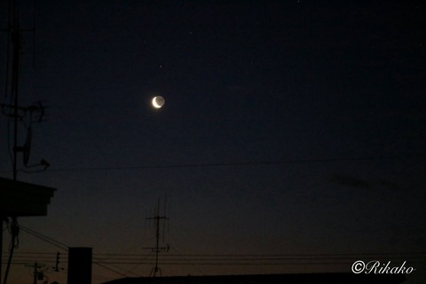 202601/15　朝の月　①