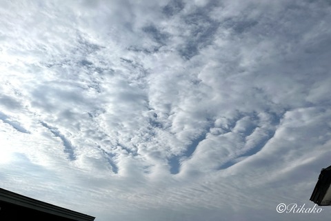 2026/04/02 朝の空 ③