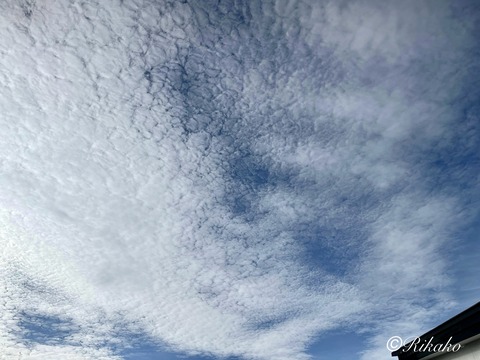 2024/09/05 朝の空 ④