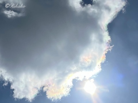 2026/03/01　彩　雲　②