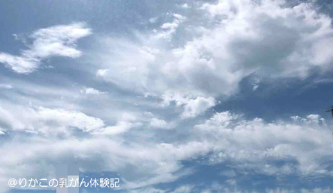 2018/07/31　朝　①