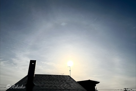 2026/04/09　ハ　ロ　①