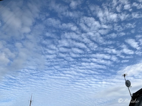 2026/08/01 空 ④