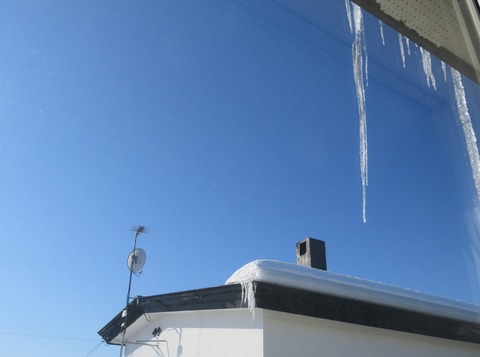 冷え込んだ朝　① tori