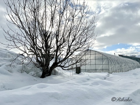 2026/01/22　耳鼻科へ　①