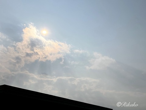 2026/03/29 春の空