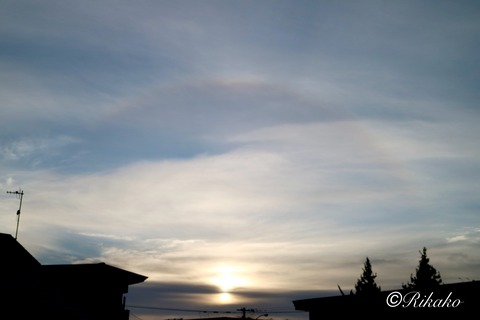 2024/11/06　朝ハロ　②