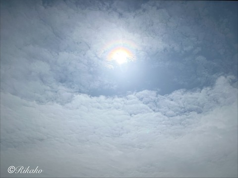 2026/04/10　彩雲（光環・光冠）　③