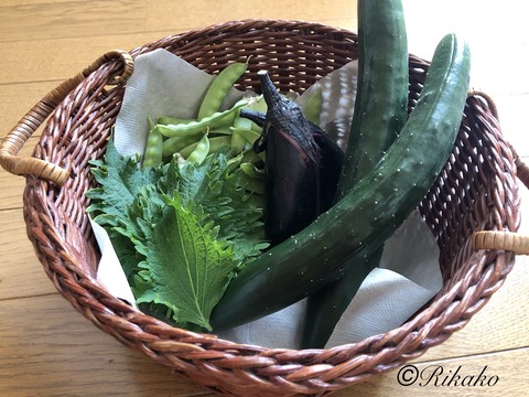 2021/07/26　佐藤家の野菜