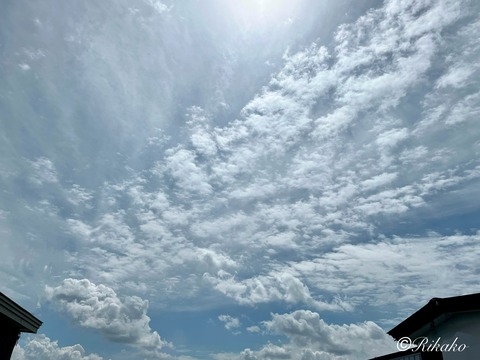 2025/08/22　朝の空　②