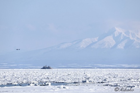 2026/02/14　流　氷　14