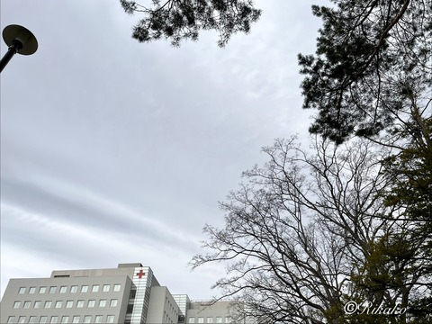2026/04/15 がんサロン ④