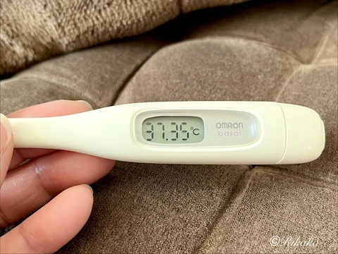 2026/02/04　体　温