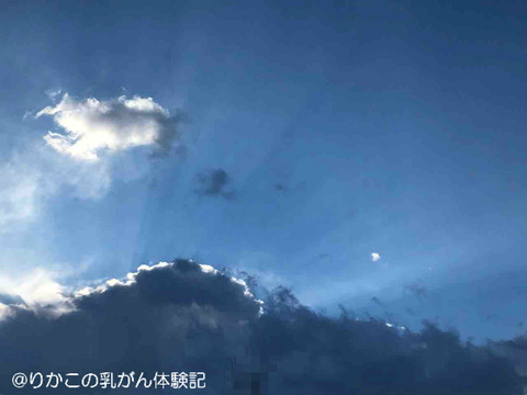 2019/01/31　朝　①