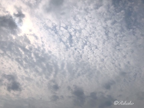 FullSizeRende2021/08/30　朝の空
