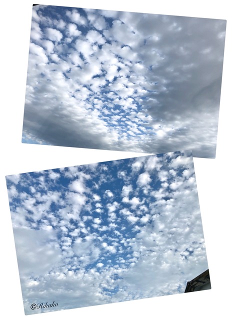 2024/06/18 過去の空