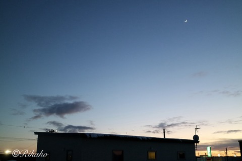 2026/01/22　三日月　③