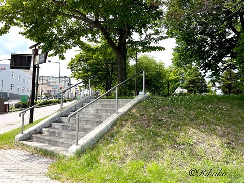 2024/06/19 がんサロン ②