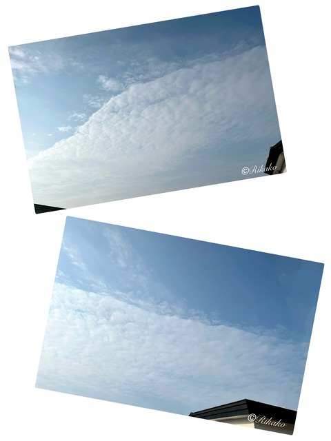 2026/04/10　真っ二つ