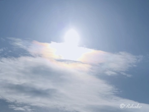 2026/02/21　彩　雲　①