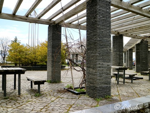 2023/04/30　公　園　②