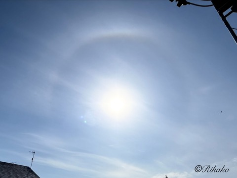 2026/03/27 ハ ロ ②