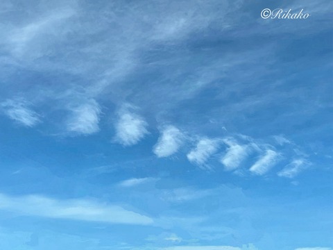 2025/09/28 空