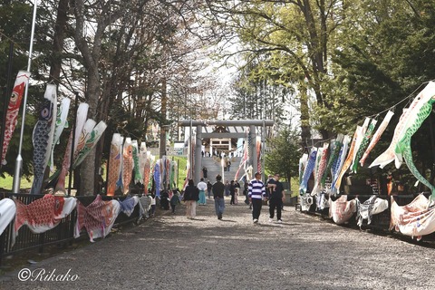 2026/05/05 美幌神社 ①