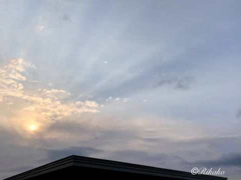 2023/03/31 朝の光芒