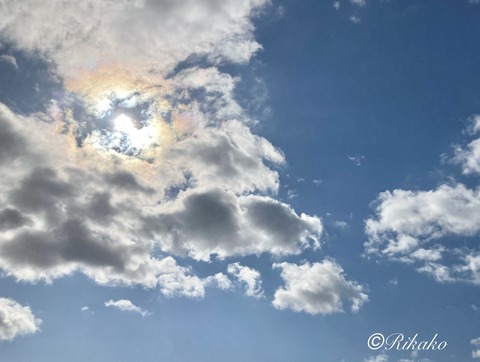 2022/03/28　朝の空