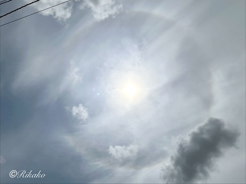 2026/06/19　ハ　ロ