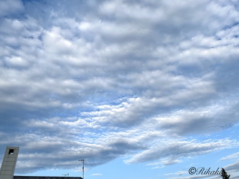 2026/06/30　うろこ雲