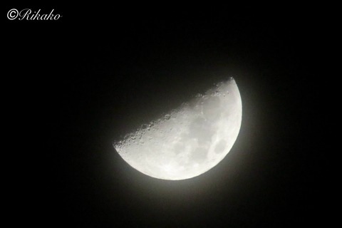 2025/02/05　上弦の月