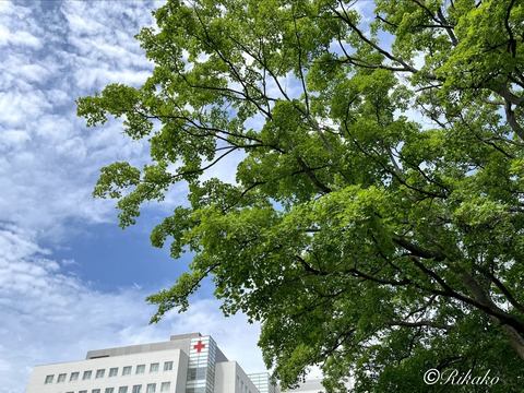 2026/07/15　がんサロン　⑤