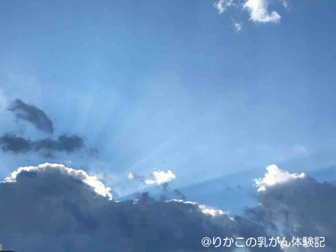 2019/01/31　朝　②